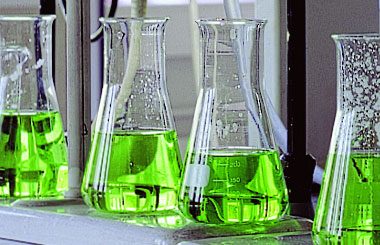 additifs savons